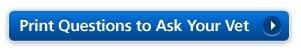 Questions to Ask Your Vet