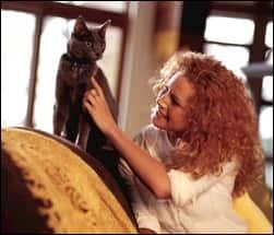 Cat and owner training