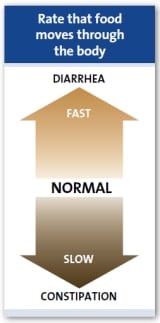 Rate that food moves through the body