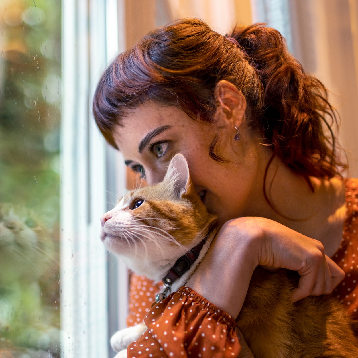 반려자와 함께 소파에 앉아 있는 고양이