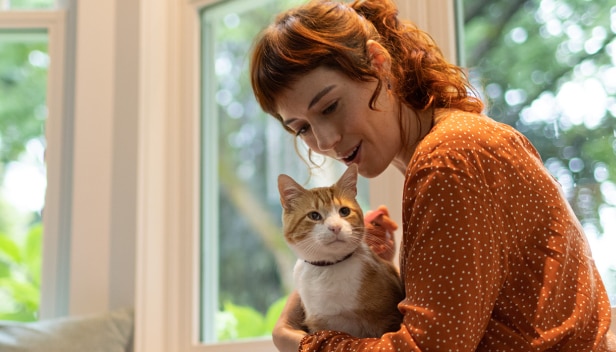 한 여자의 무릎 위에 앉아 있는 갈색과 흰색의 고양이