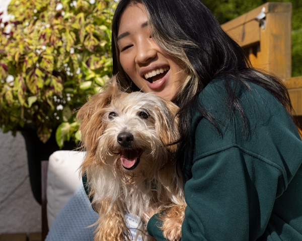 반려견과 주인이 함께 있는 작은 강아지