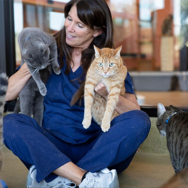 췌장염의 치료는 어떻게 진행되나요?