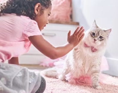 어린 소녀가 새끼 고양이 놀이를 하고 있다.