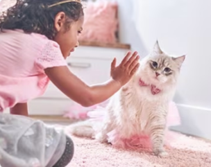 어린 소녀가 새끼 고양이 놀이를 하고 있다.