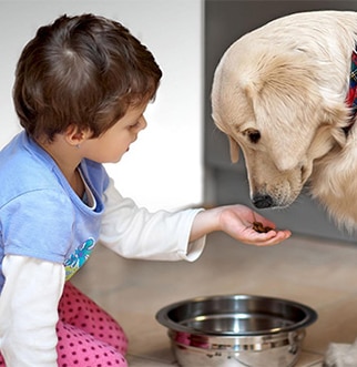 Child feeding a dog
