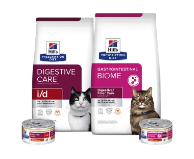 Prescription Diet Digestive care cat food