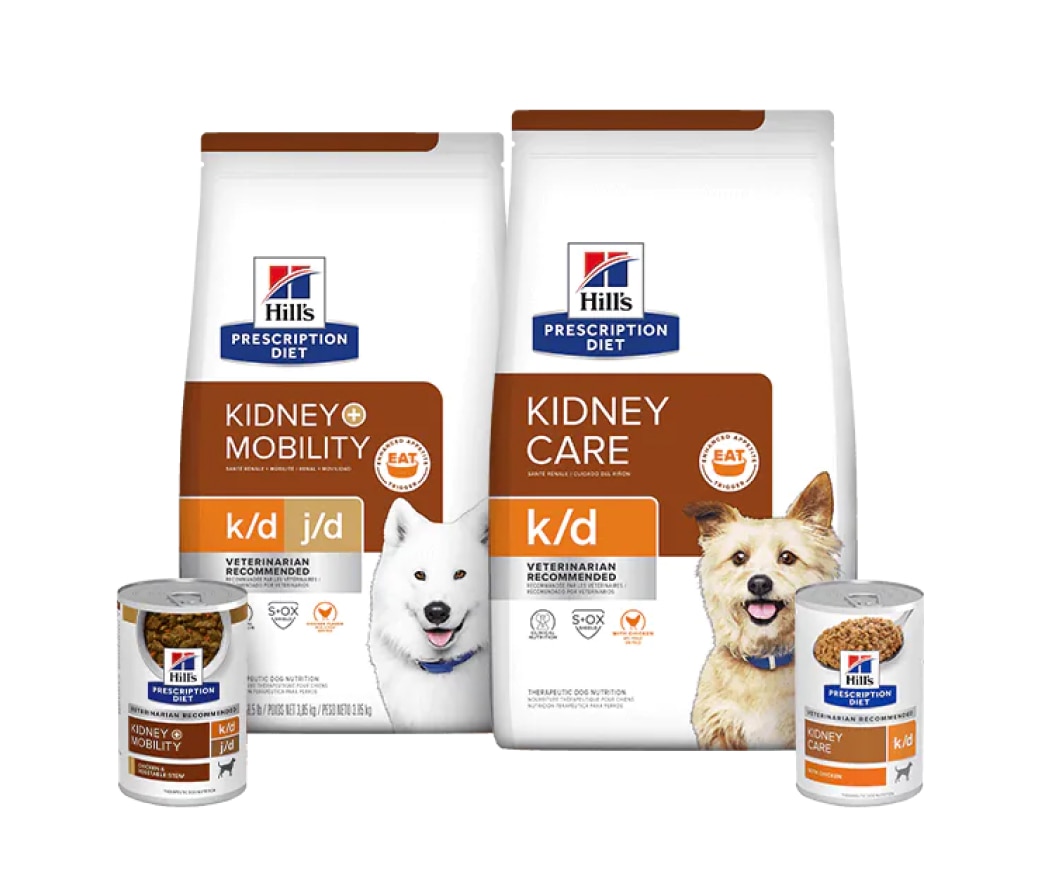 Kidney care dog food 