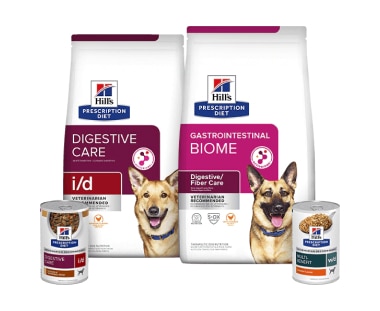Prescription Diet Digestive care dog food