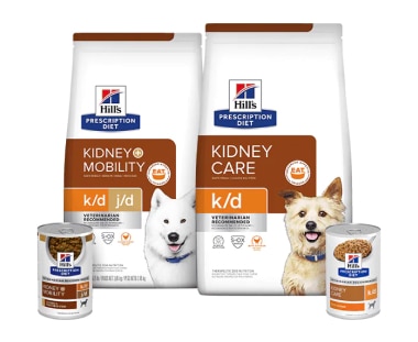 Kidney care dog food 