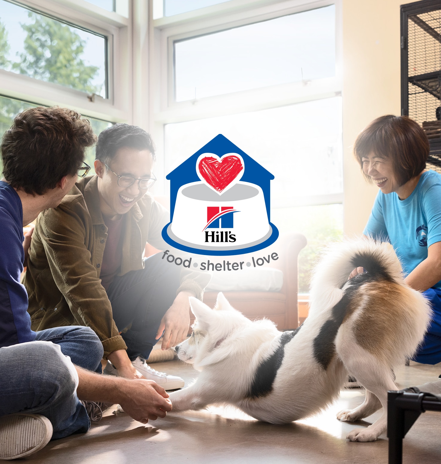 고양이와 놀고 있는 소녀