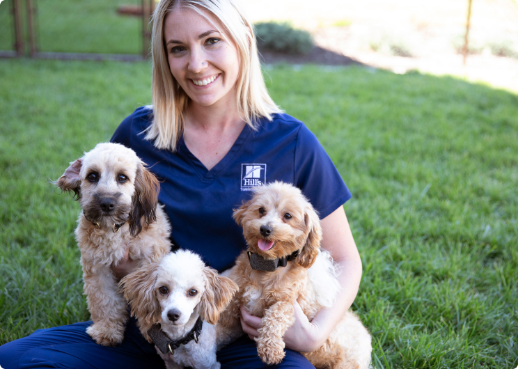 새끼 강아지들을 데리고 있는 여성