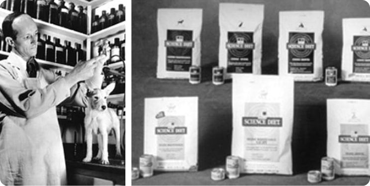 마크 모리스 주니어 박사가 애완동물과 함께 작업 중  