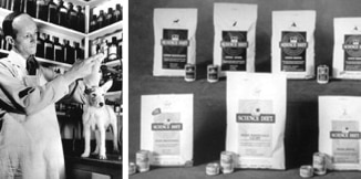 마크 모리스 주니어 박사가 애완동물과 함께 작업 중  