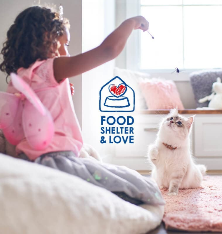 고양이와 놀고 있는 소녀