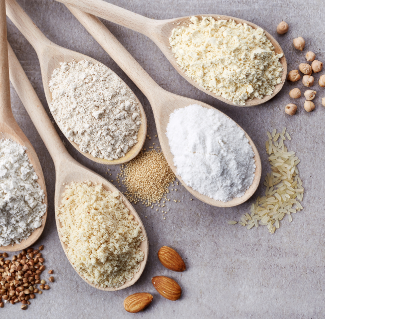 힐스 펫푸드의 원료로 사용되는 스푼에 담긴 분말 형태의 곡물 