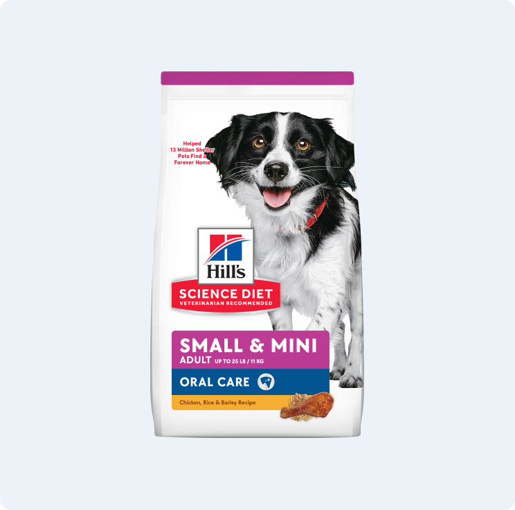 minimizing plaque mini dogs