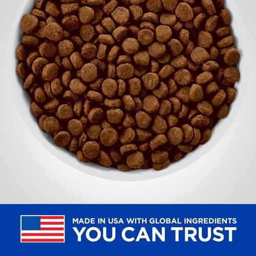 pd-zd-canine-small-bites-dog-food-dry